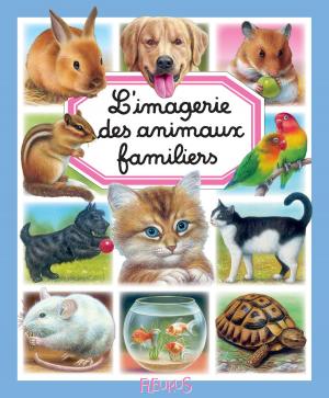 Book cover of L'imagerie des animaux familiers