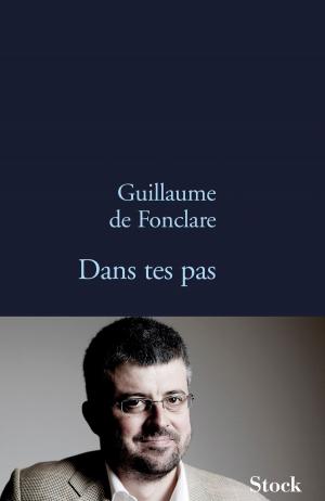 Book cover of Dans tes pas