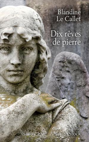 Cover of the book Dix rêves de pierre by Nina Bouraoui