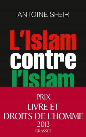 Book cover of L'Islam contre l'Islam