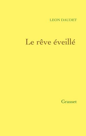 Cover of the book Le rêve éveillé by Philippe Vilain
