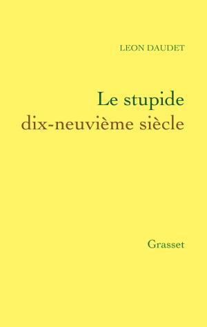 Cover of the book Le stupide dix-neuvième siècle by Gérard Guégan