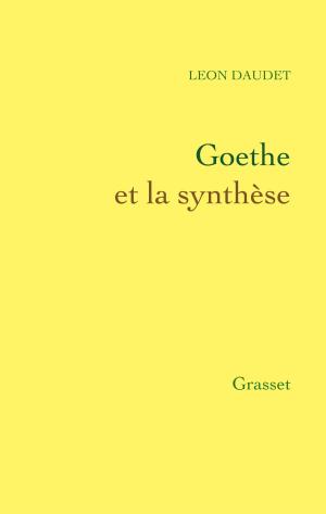 Cover of the book Goethe et la synthèse by Catherine Clément
