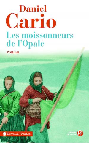 Book cover of Les Moissonneurs de l'Opale