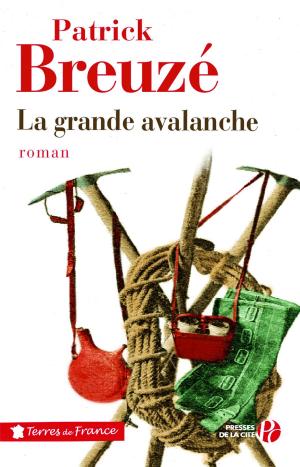 Cover of the book La Grande Avalanche by Eve RUGGIERI