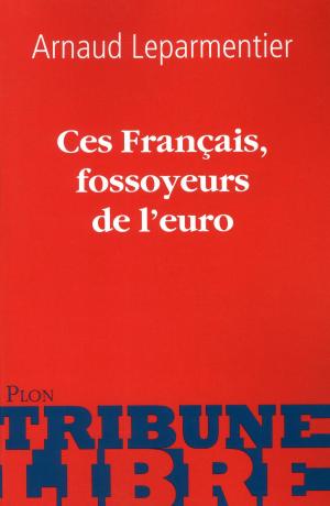 Cover of the book Ces Français, fossoyeurs de l'euro by Eric SANVOISIN