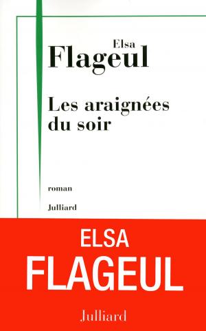 Book cover of Les araignées du soir