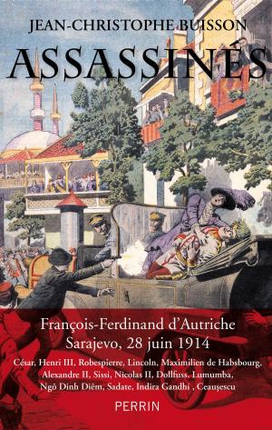 Cover of the book Assassinés by Dominique de VILLEPIN