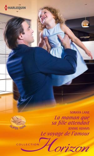 Book cover of La maman que sa fille attendait- Le voyage de l'amour