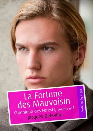 Cover of the book La Fortune des Mauvoisin (érotique gay) by AbiGaël