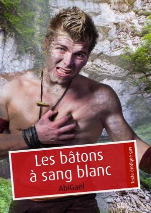 Cover of the book Les bâtons à sang blanc (pulp gay) by Yves Klein