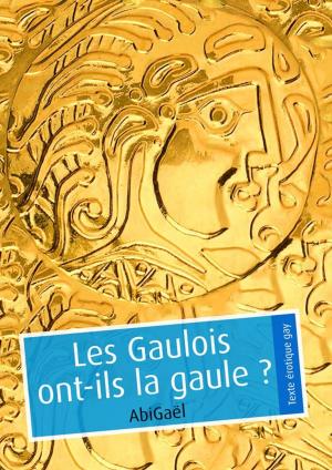 Cover of the book Les Gaulois ont-ils la gaule ? (pulp gay) by Sébastien Avril
