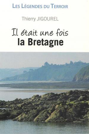 Book cover of Il était une fois la Bretagne