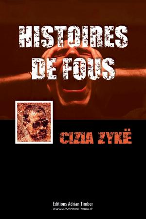 Cover of the book HISTOIRES DE FOUS by Cizia ZYKE