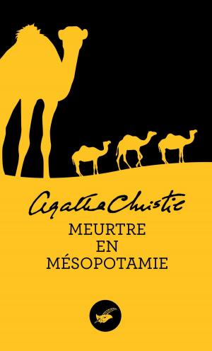Cover of the book Meurtre en Mésopotamie (Nouvelle traduction révisée) by Neal Shusterman