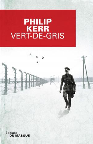 Cover of the book Vert-de-gris by Rachid Santaki