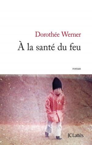 Cover of the book A la santé du feu by Grégoire Delacourt