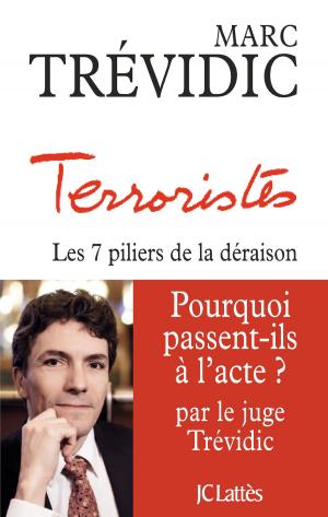 Cover of the book Terroristes by Scott Turow