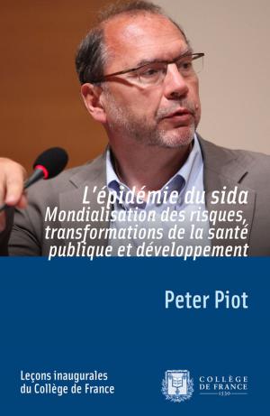 Cover of the book L'épidémie du sida. Mondialisation des risques, transformations de la santé publique et développement by Jean-Matthias Fleury