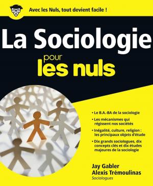 Cover of the book La Sociologie Pour les Nuls by Paul IVOIRE
