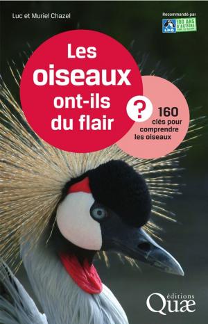 Cover of the book Les oiseaux ont-ils du flair ? by Philippe Perrier-Cornet, Philippe Jeanneaux