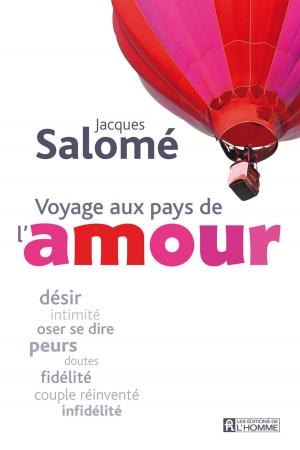 Cover of the book Voyage aux pays de l'amour by Jean-François Vézina