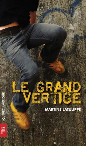 Cover of the book Le Grand Vertige by Jean Charbonneau