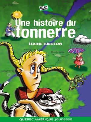 Cover of the book Flavie 02 - Une histoire du tonnerre by Anique Poitras