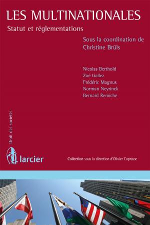 Cover of the book Les multinationales by Ann Lawrence Durviaux, Thierry Delvaux, Damien Fisse