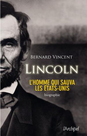 bigCover of the book Lincoln by 
