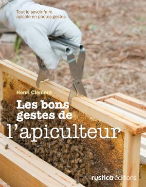 Cover of the book Les bons gestes de l’apiculteur by Aglaé Blin, Carine Zurbach