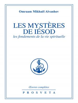 Cover of Les Mystères de Iesod