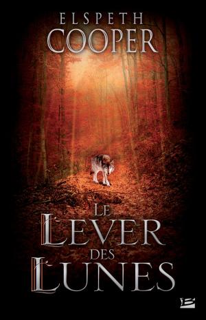 Cover of the book Le Lever des Lunes by Pierre Pelot
