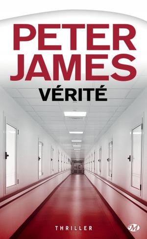 Cover of the book Vérité by Richard Sapir, Warren Murphy