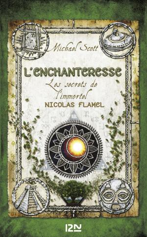 Book cover of Les secrets de l'immortel Nicolas Flamel tome 6
