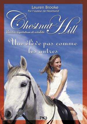 Cover of the book Chestnut Hill tome 13 by Ann GRANGER