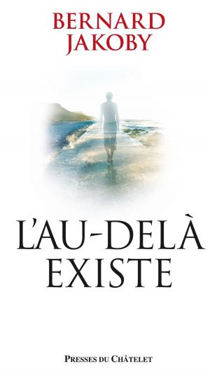 Cover of the book L'au-delà existe : les preuves by Bernard Baudouin