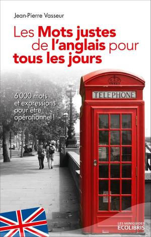 Cover of the book Les mots justes de l'anglais pour tous les jours (éd. 2013) by Philippe de Mélambès