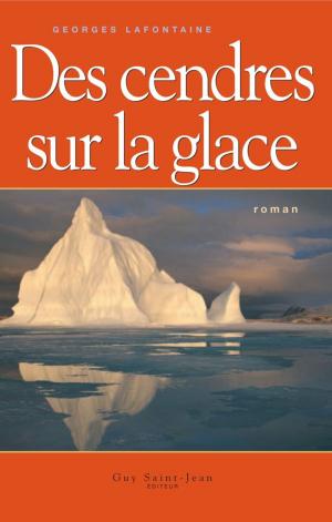 Cover of Des cendres sur la glace