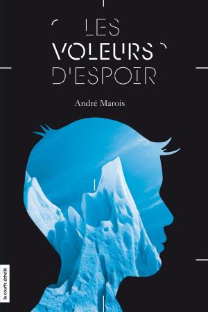 Cover of the book Les voleurs d'espoir by Matthieu Simard