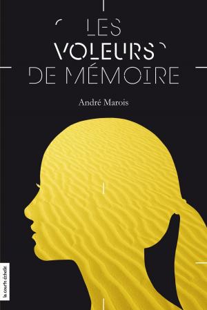 Cover of the book Les voleurs de mémoire by Julie Champagne