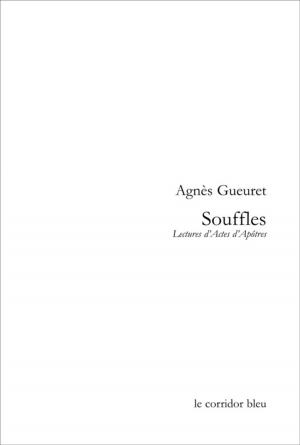 Cover of the book Souffles by Mimi Novic, Mimi Novic