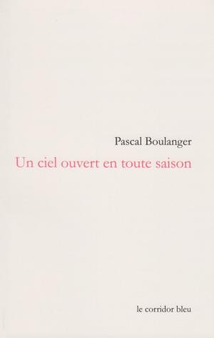 Book cover of Un ciel ouvert en toute saison
