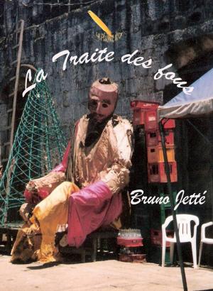 Cover of the book La traite des fous by Bruno Jetté