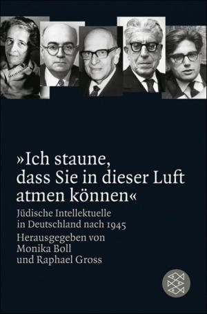 Cover of the book "Ich staune, dass Sie in dieser Luft atmen können" by Tilman Spreckelsen