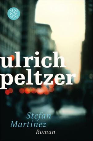 Cover of the book Stefan Martinez by Kathrin Röggla