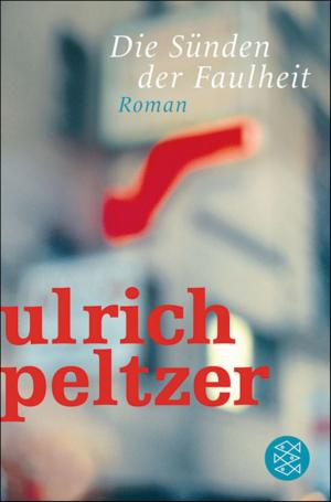 Cover of the book Die Sünden der Faulheit by Privatdozent Dr. Götz Aly