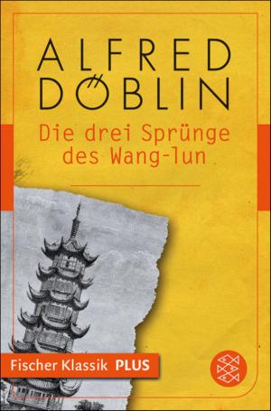 Cover of Die drei Sprünge des Wang-lun