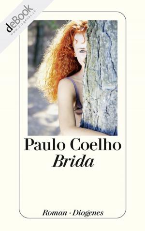 bigCover of the book Brida by 