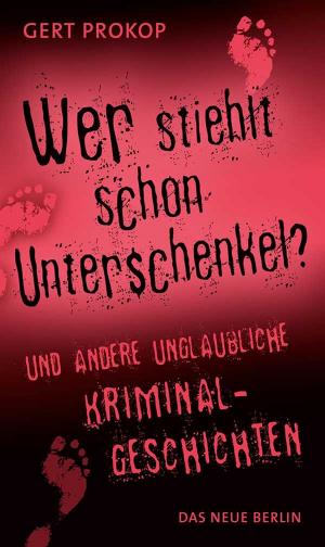 Cover of the book Wer stiehlt schon Unterschenkel by Peter-Michael Diestel, Oskar Lafontaine